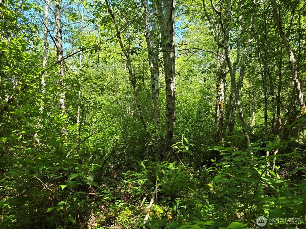 256 Walker Road Hoquiam, WA 98550