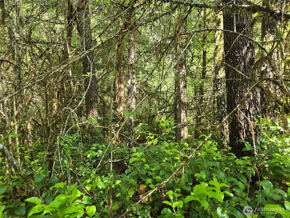 256 Walker Road Hoquiam, WA 98550