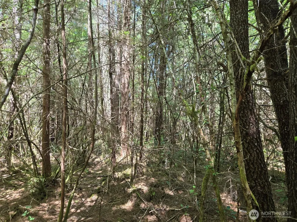 256 Walker Road Hoquiam, WA 98550
