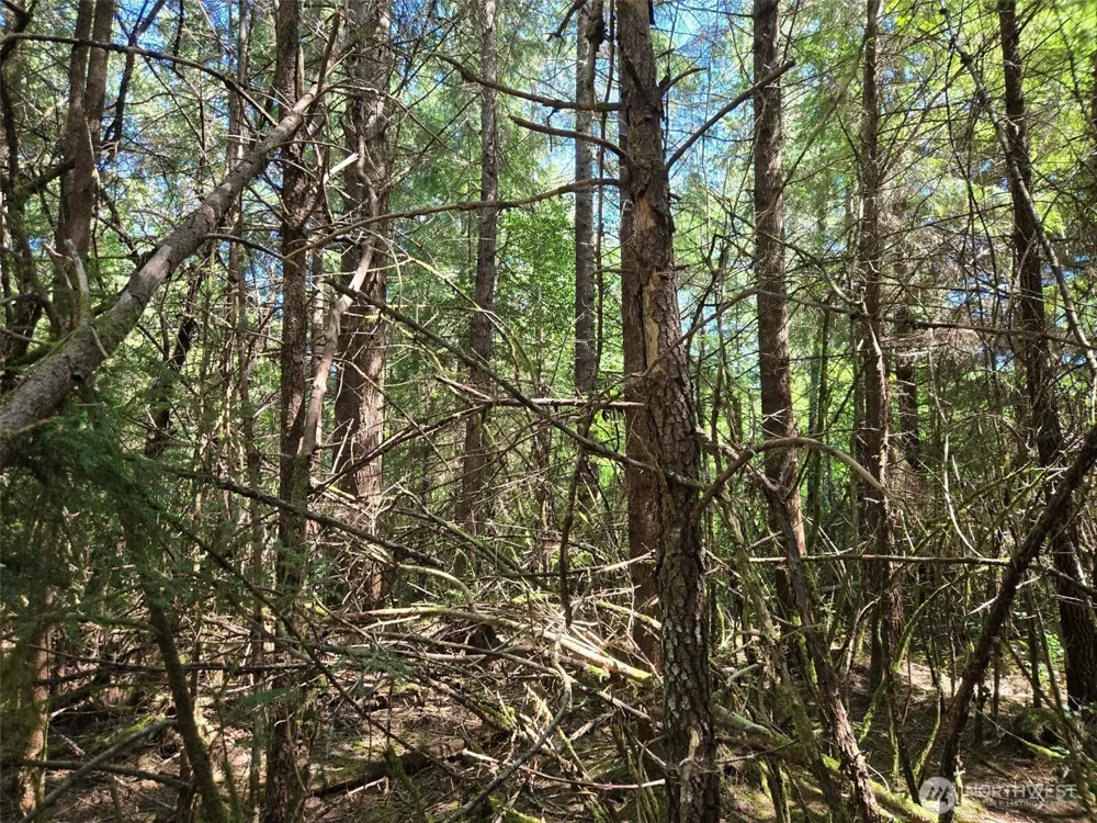 256 Walker Road Hoquiam, WA 98550