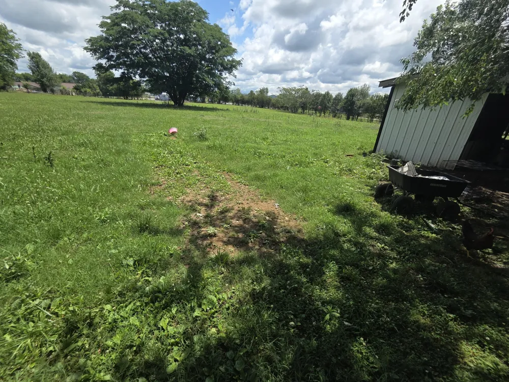 8373 Carthage HWY Lebanon, TN 37087