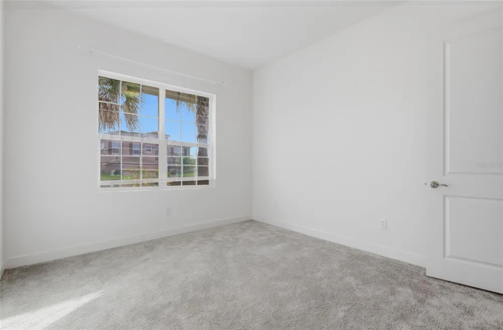 32801 TREE OF LIFE AVENUE Wesley Chapel, FL 33543