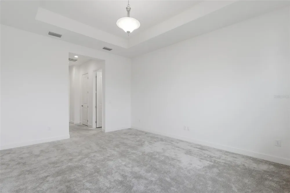 32801 TREE OF LIFE AVENUE Wesley Chapel, FL 33543