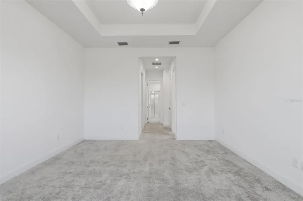 32801 TREE OF LIFE AVENUE Wesley Chapel, FL 33543