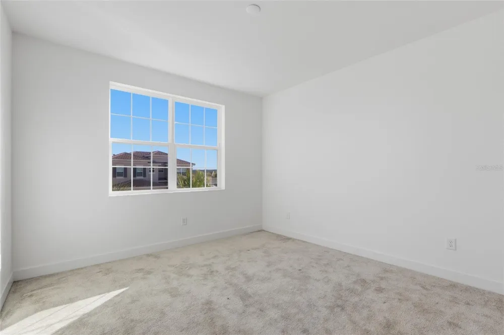 32801 TREE OF LIFE AVENUE Wesley Chapel, FL 33543