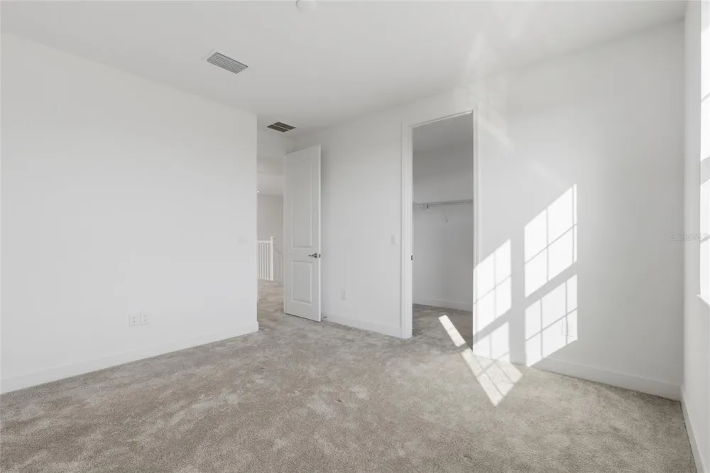 32801 TREE OF LIFE AVENUE Wesley Chapel, FL 33543