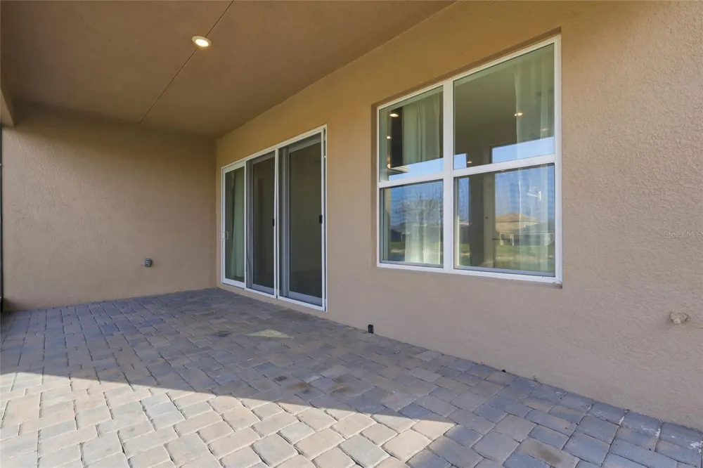 32801 TREE OF LIFE AVENUE Wesley Chapel, FL 33543