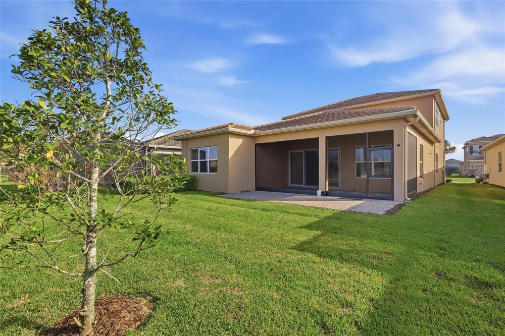 32801 TREE OF LIFE AVENUE Wesley Chapel, FL 33543