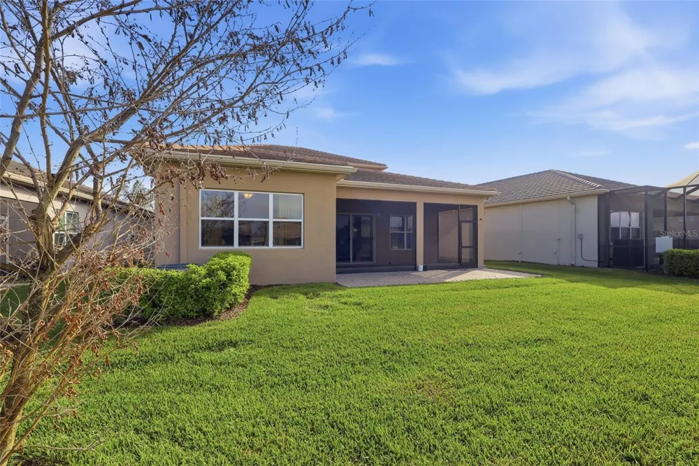 32801 TREE OF LIFE AVENUE Wesley Chapel, FL 33543