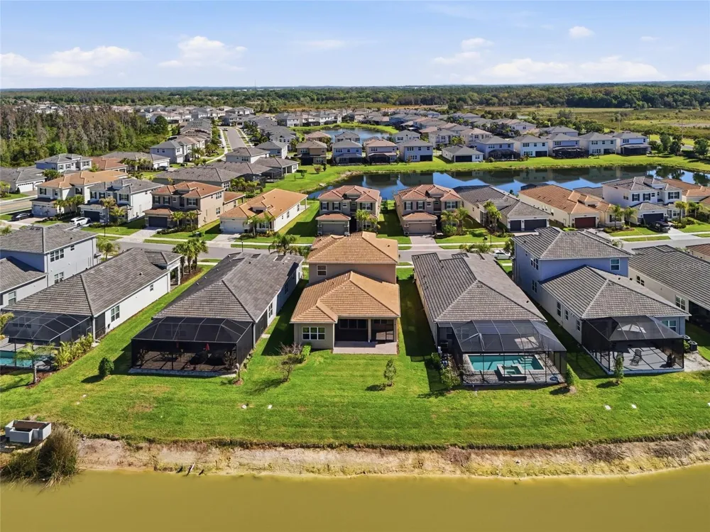 32801 TREE OF LIFE AVENUE Wesley Chapel, FL 33543