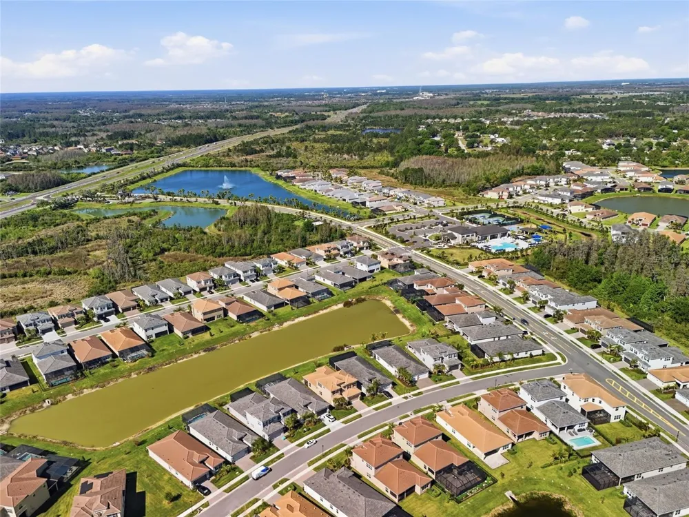 32801 TREE OF LIFE AVENUE Wesley Chapel, FL 33543