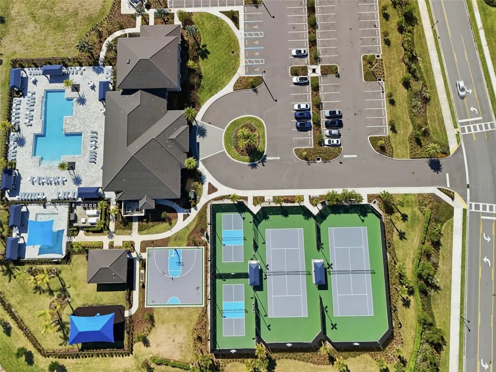 32801 TREE OF LIFE AVENUE Wesley Chapel, FL 33543