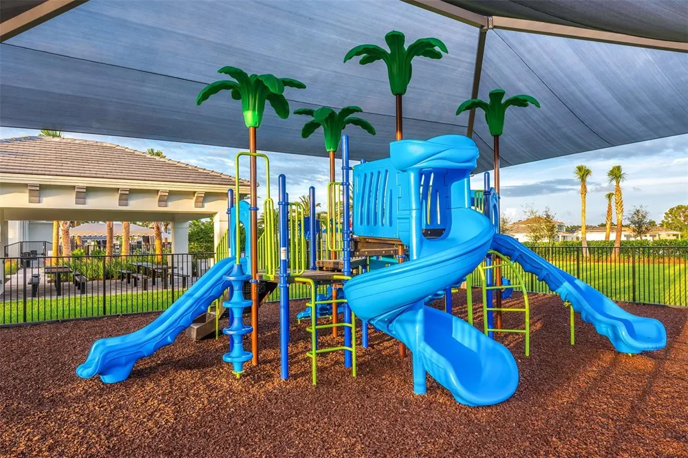 32801 TREE OF LIFE AVENUE Wesley Chapel, FL 33543