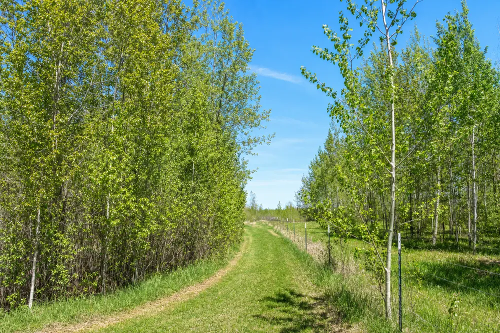 26450 State 34 Nevis, MN 56467