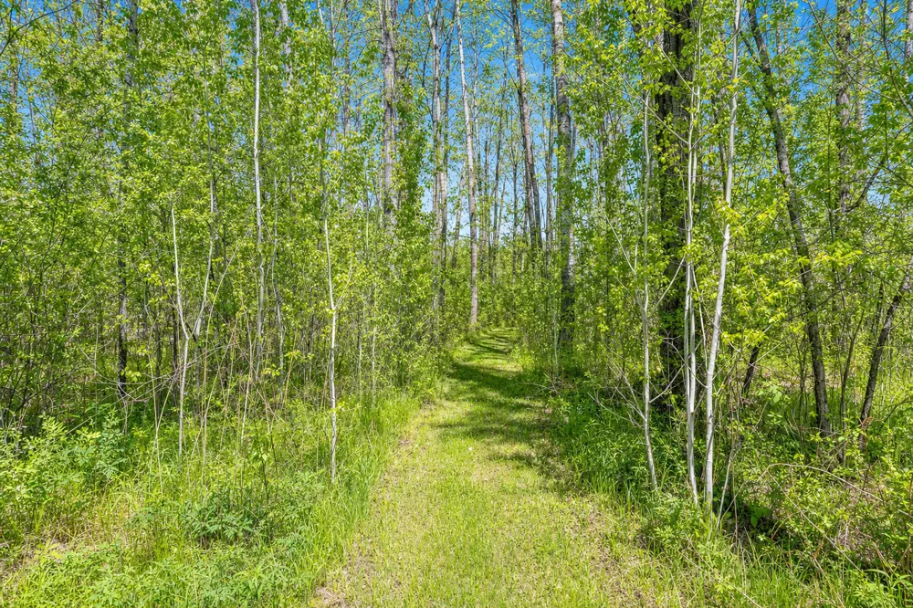 26450 State 34 Nevis, MN 56467