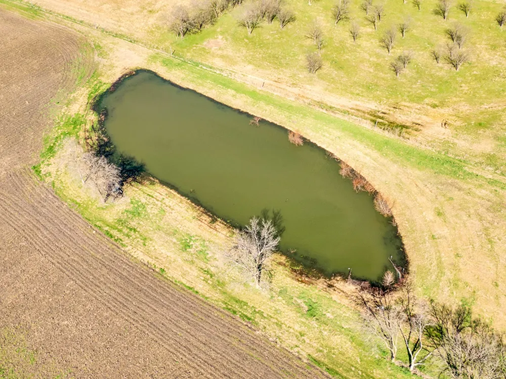 1920 Moseley Road Ennis, TX 75119