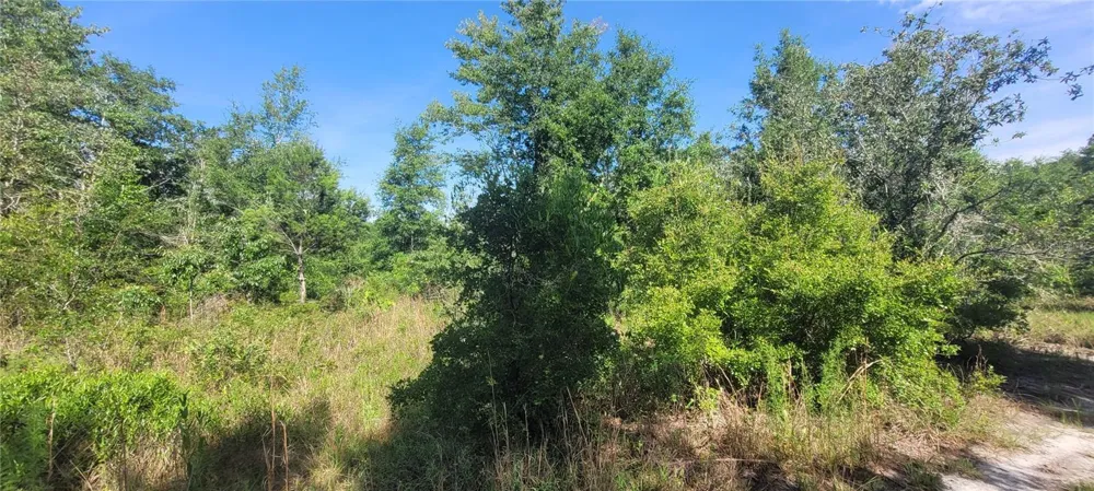 UNION WAY Lee, FL 32059