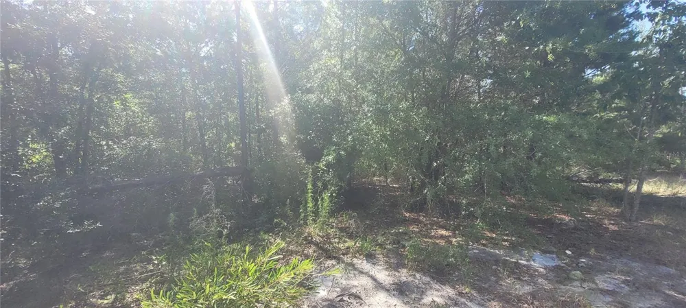 UNION WAY Lee, FL 32059