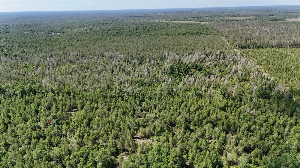 UNION WAY Lee, FL 32059