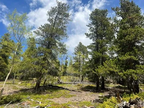 1 Sunny Skies Trail