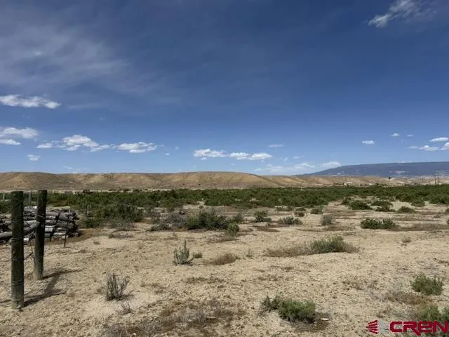 3849 Peach Valley Road Delta, CO 81416