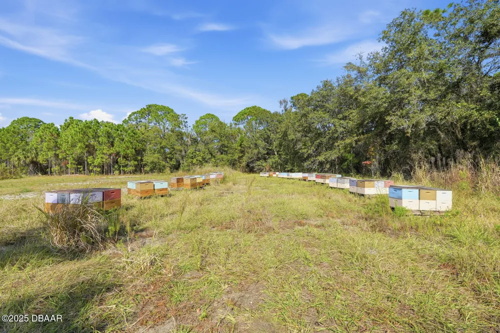 270 Wright Grove Road Oak Hill, FL 32759