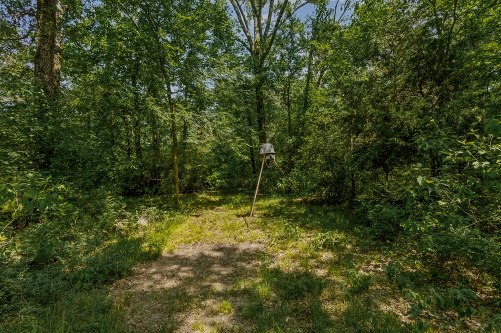 10398 Fm 429 Kaufman, TX 75142