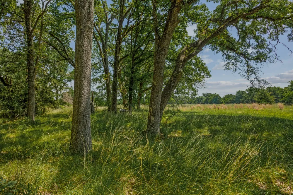 10398 Fm 429 Kaufman, TX 75142