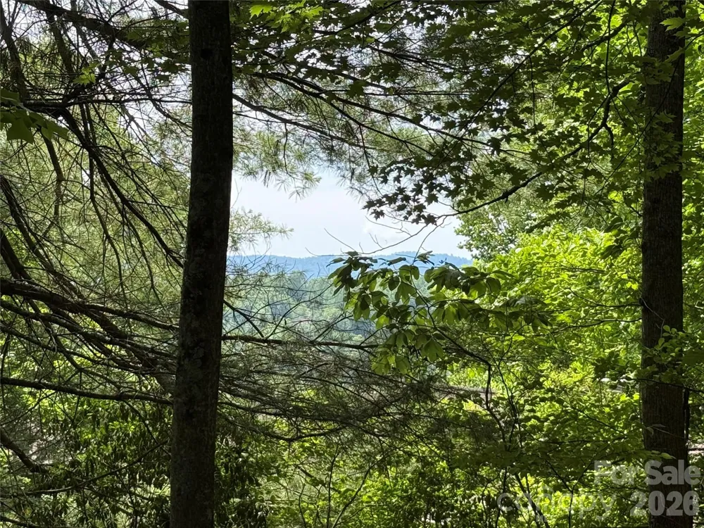 0000 Hardwood Summit Drive #191 Hendersonville, NC 28739