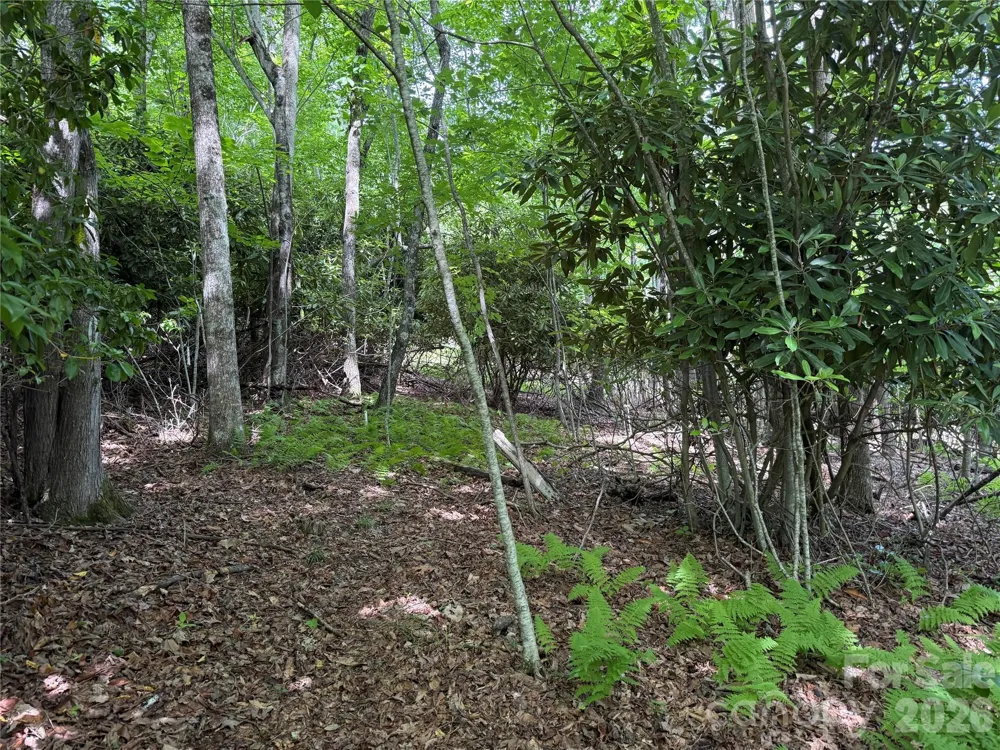0000 Hardwood Summit Drive #191 Hendersonville, NC 28739