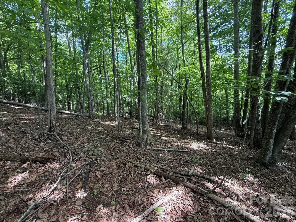 0000 Hardwood Summit Drive #191 Hendersonville, NC 28739