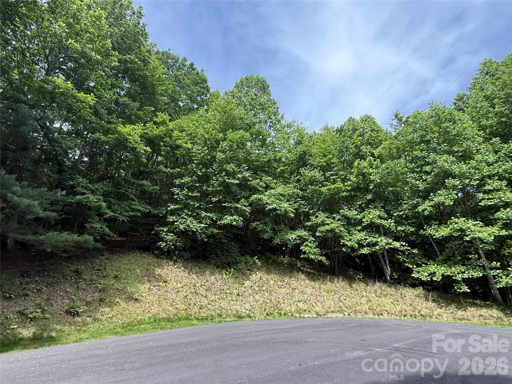 0000 Hardwood Summit Drive #191 Hendersonville, NC 28739