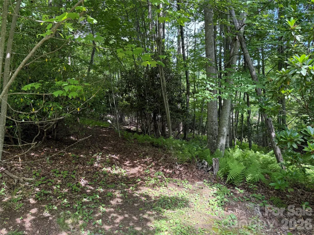 0000 Hardwood Summit Drive #191 Hendersonville, NC 28739