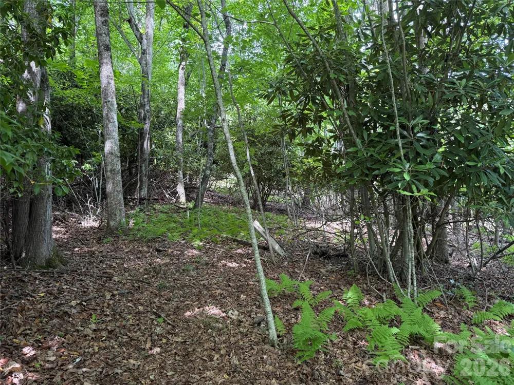 0000 Hardwood Summit Drive #191 Hendersonville, NC 28739