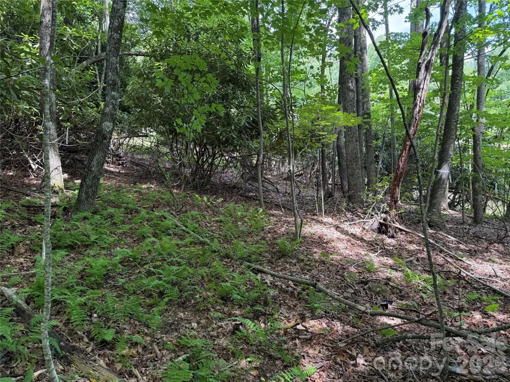 0000 Hardwood Summit Drive #191 Hendersonville, NC 28739