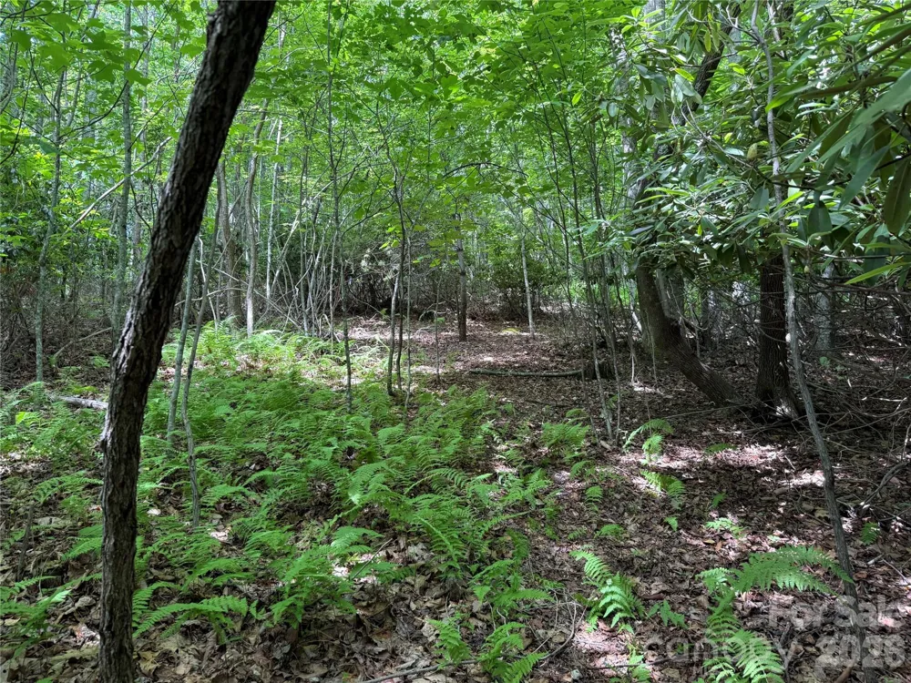 0000 Hardwood Summit Drive #191 Hendersonville, NC 28739