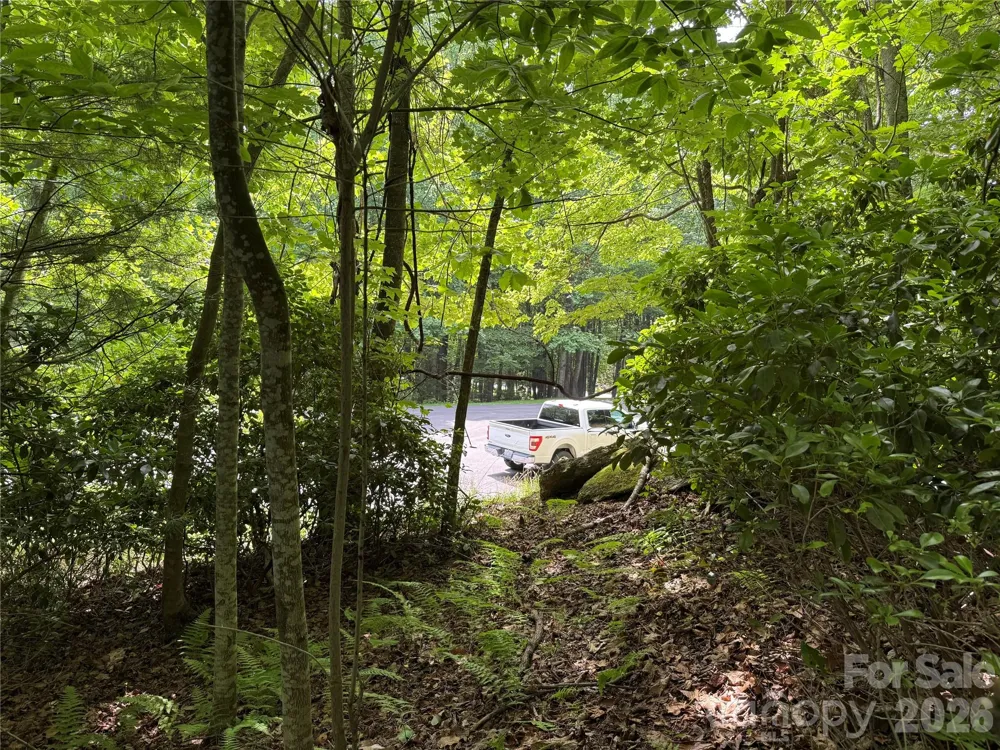 0000 Hardwood Summit Drive #191 Hendersonville, NC 28739