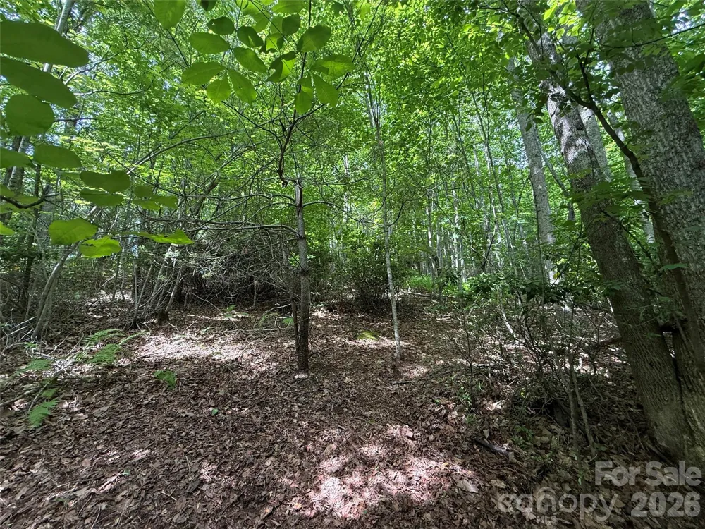 0000 Hardwood Summit Drive #191 Hendersonville, NC 28739