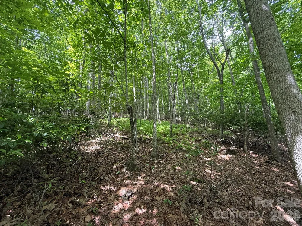 0000 Hardwood Summit Drive #191 Hendersonville, NC 28739