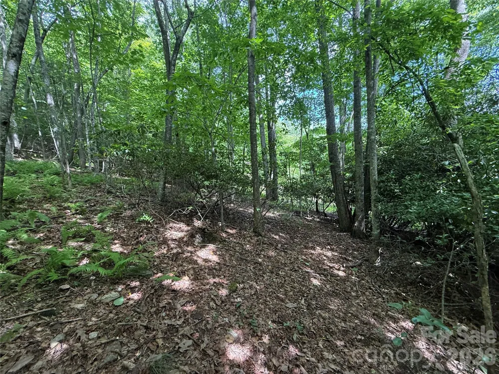 0000 Hardwood Summit Drive #191 Hendersonville, NC 28739