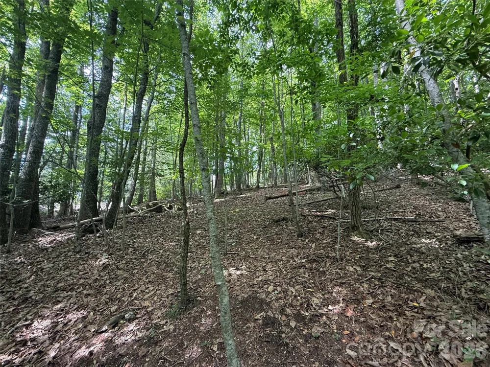 0000 Hardwood Summit Drive #191 Hendersonville, NC 28739
