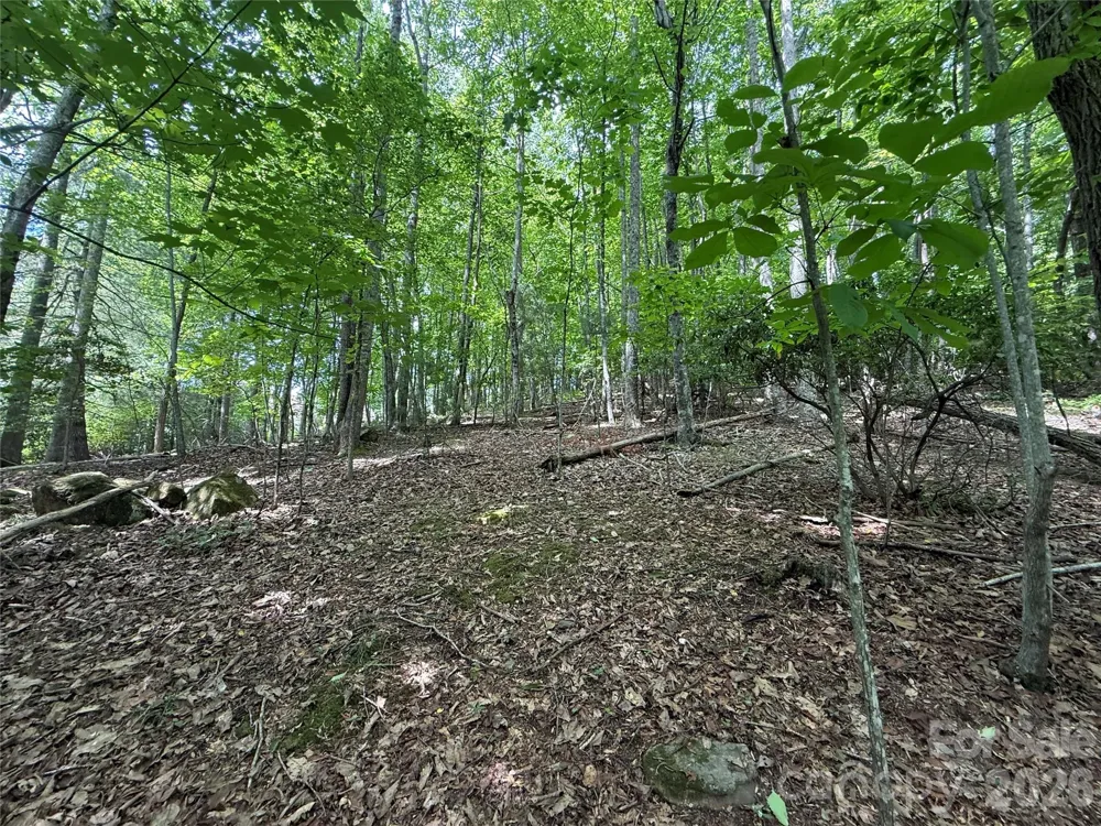 0000 Hardwood Summit Drive #191 Hendersonville, NC 28739