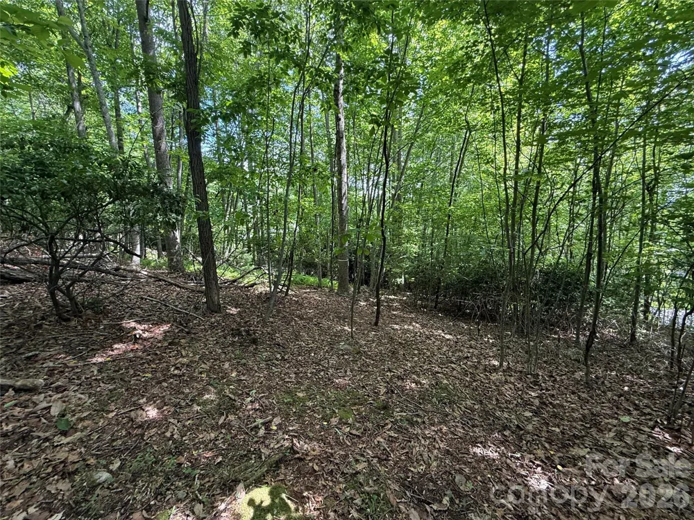 0000 Hardwood Summit Drive #191 Hendersonville, NC 28739