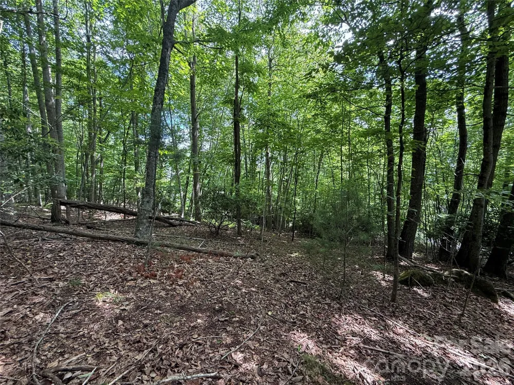 0000 Hardwood Summit Drive #191 Hendersonville, NC 28739