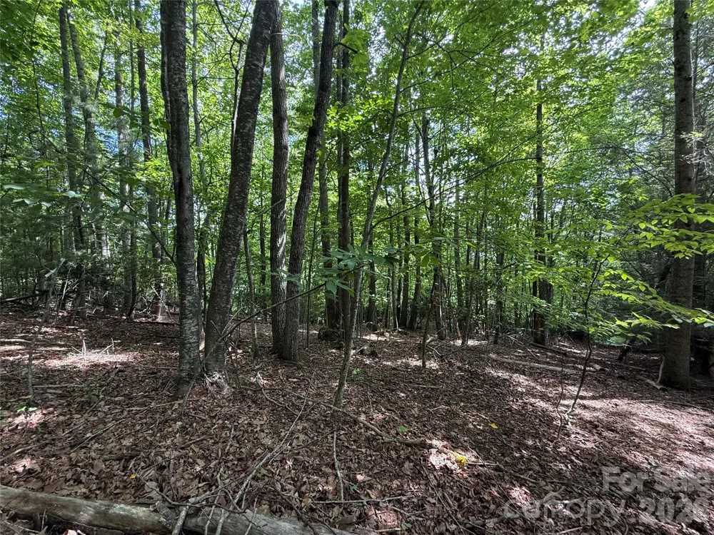 0000 Hardwood Summit Drive #191 Hendersonville, NC 28739