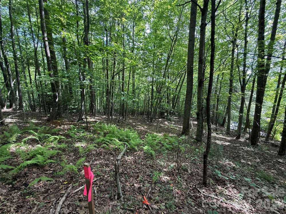 0000 Hardwood Summit Drive #191 Hendersonville, NC 28739