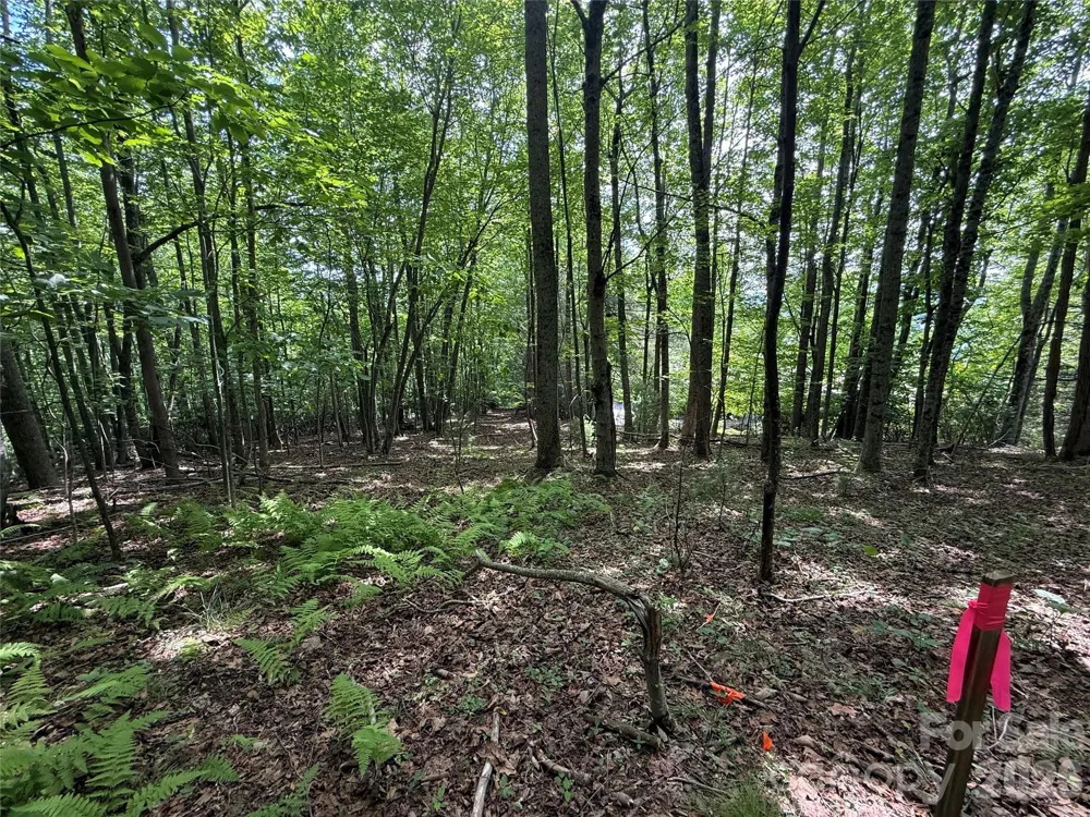 0000 Hardwood Summit Drive #191 Hendersonville, NC 28739