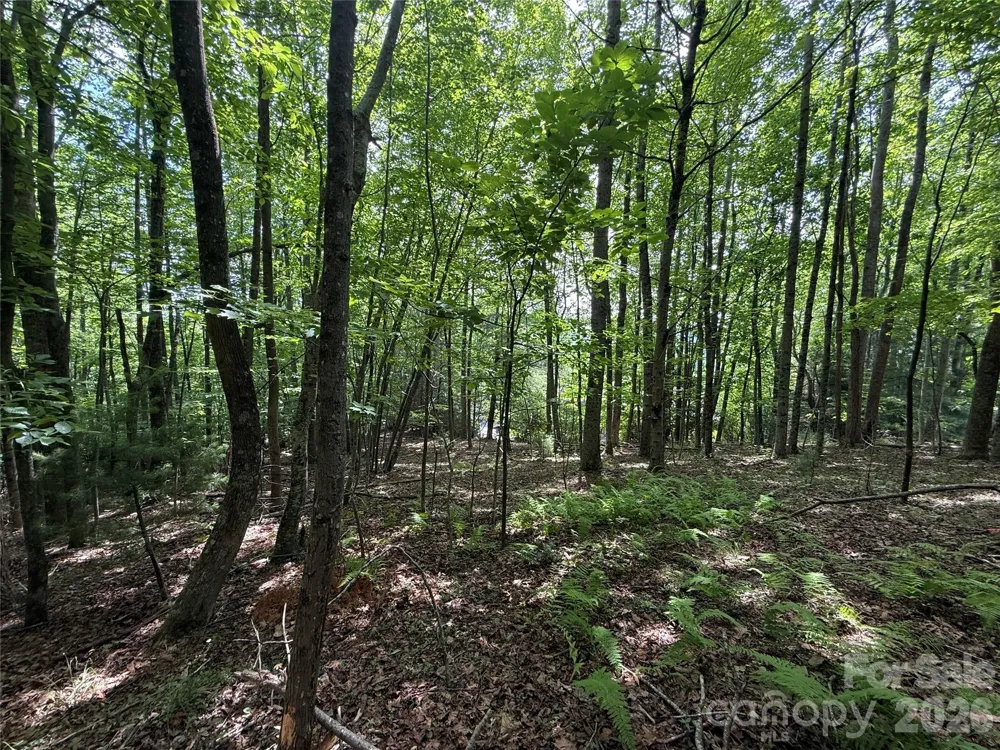 0000 Hardwood Summit Drive #191 Hendersonville, NC 28739
