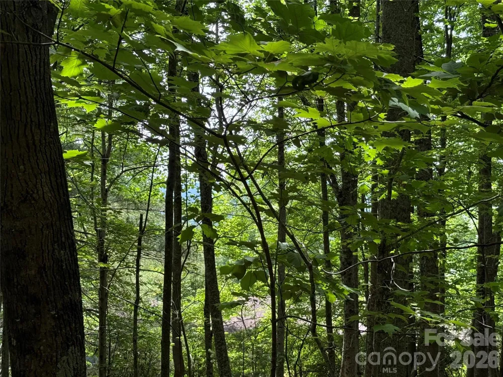 0000 Hardwood Summit Drive #191 Hendersonville, NC 28739