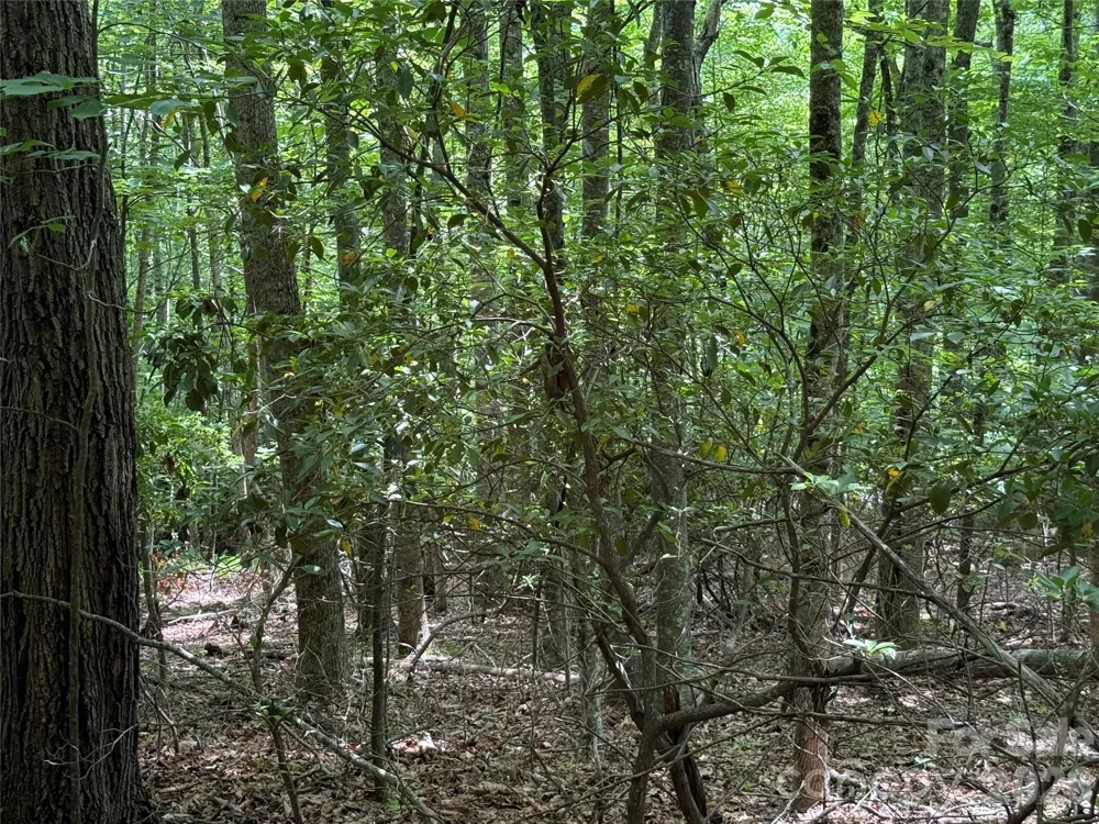 0000 Hardwood Summit Drive #191 Hendersonville, NC 28739